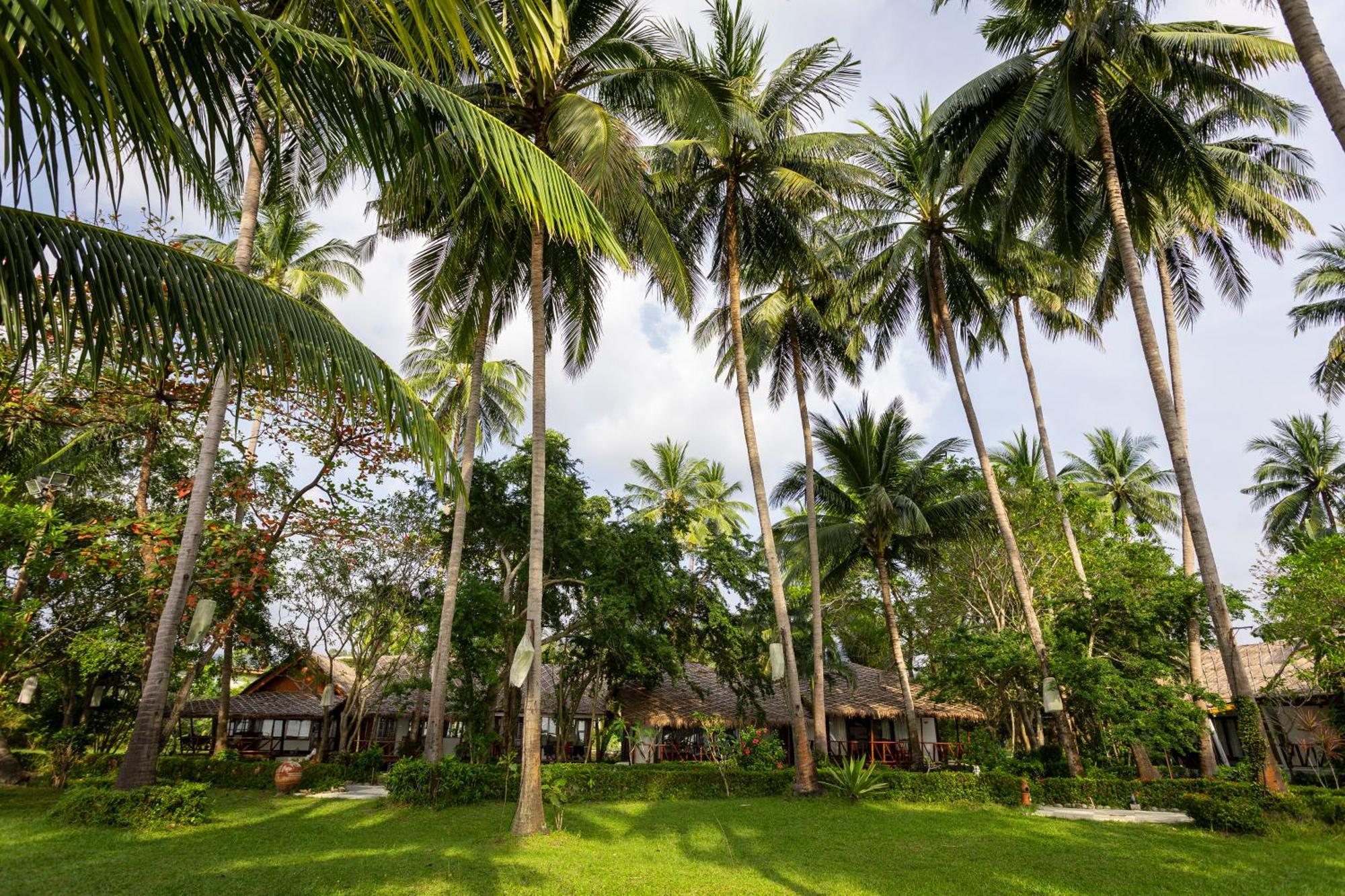 Lipa Lodge Beach Resort Lipa Noi Buitenkant foto